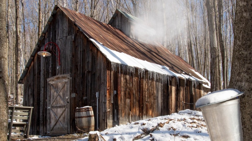 Cabane à sucre comment ne pas sortir trop plein? Nutritionniste
